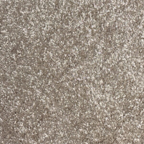 Light Beige Putty