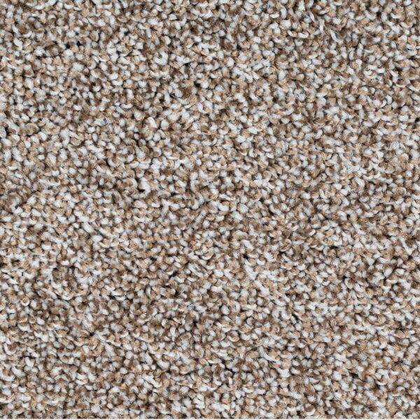 Sand Paper